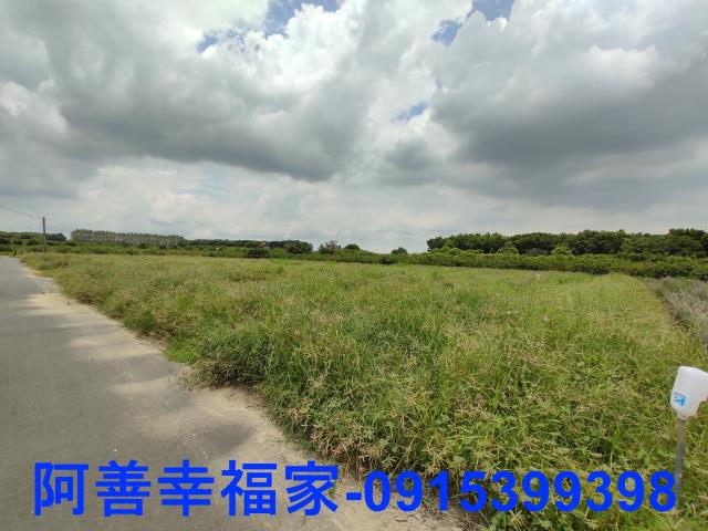 玉井農地-8