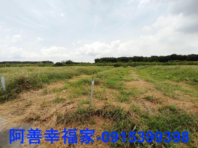 玉井農地-0