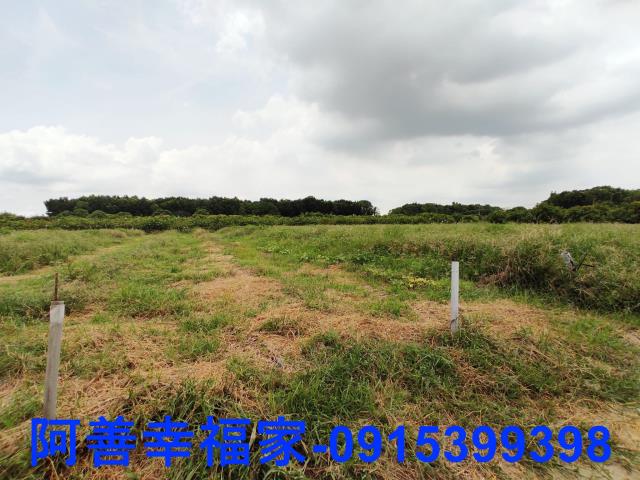 玉井農地-1