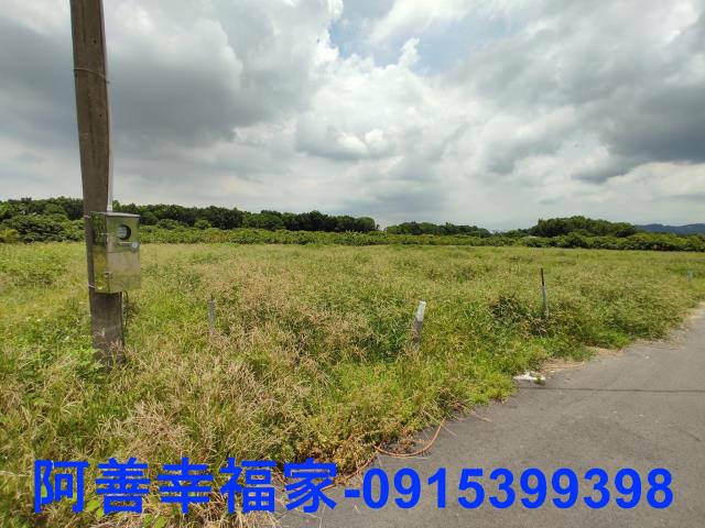 玉井農地-2