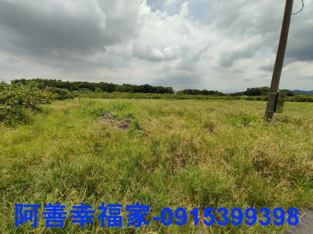 玉井農地-3