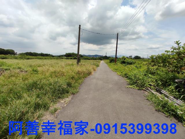 玉井農地-4