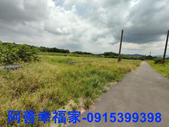 玉井農地-5