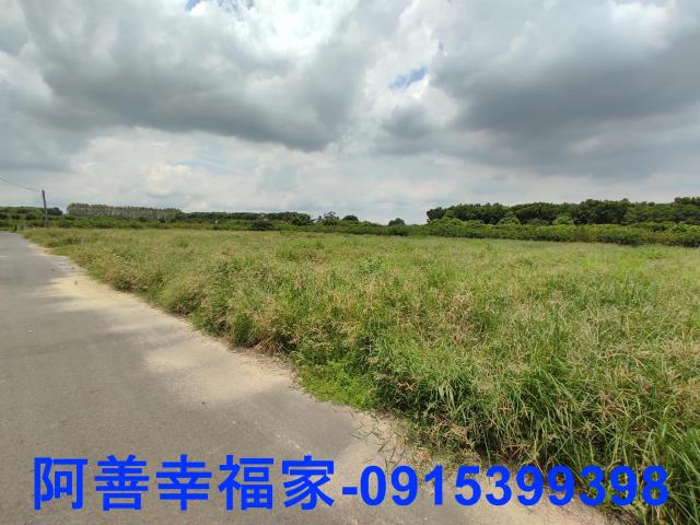 玉井農地-7