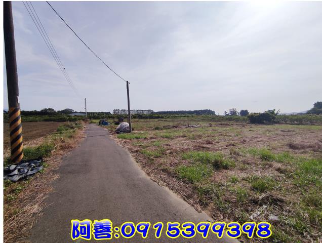 玉井農地-2