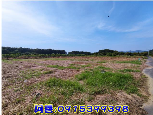 玉井農地-5