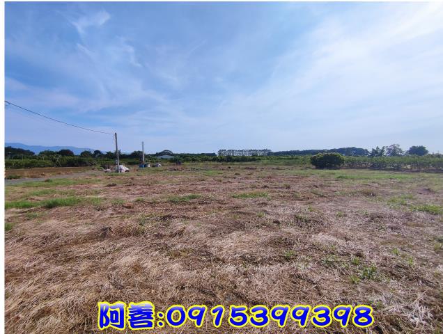 玉井農地-6