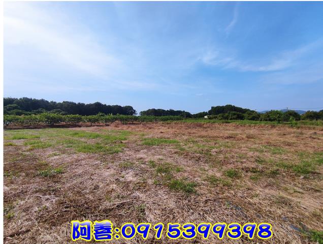 玉井農地-8