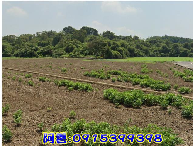 官田農地-0