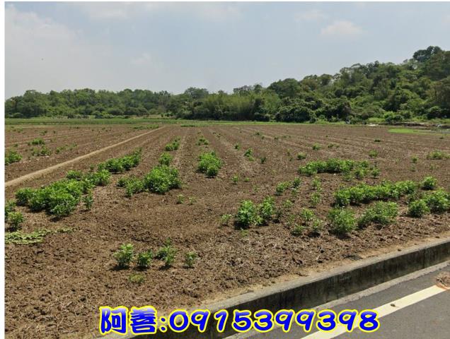官田農地-3