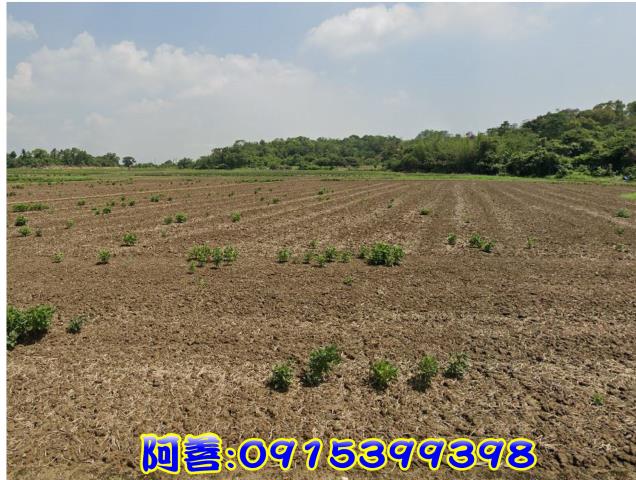 官田農地-4
