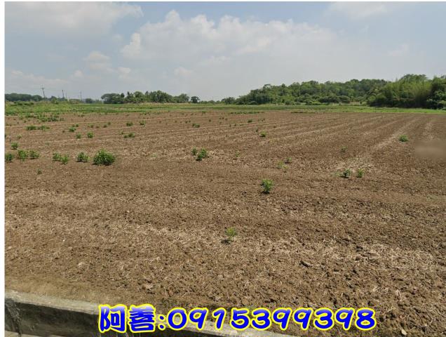 官田農地-5