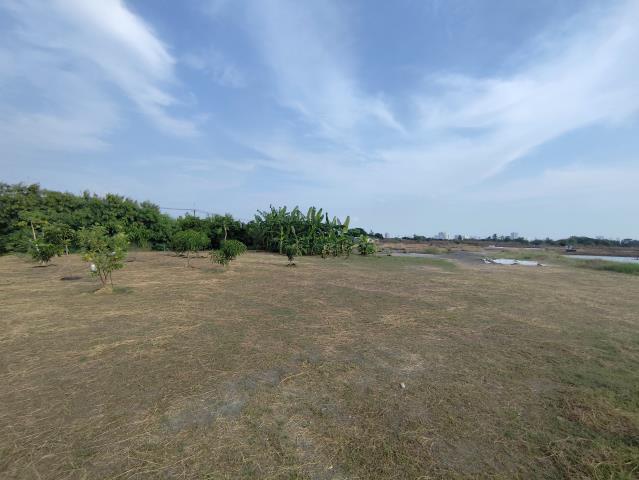 台南安南農地-5