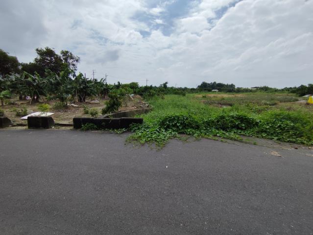 台南關廟農地-9