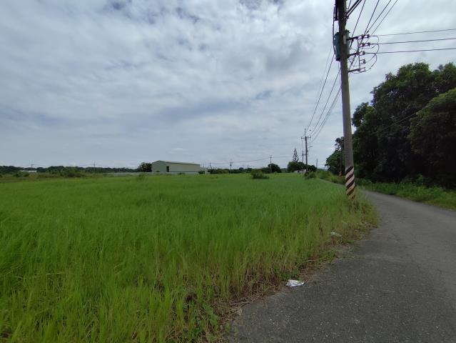台南仁德農地-0