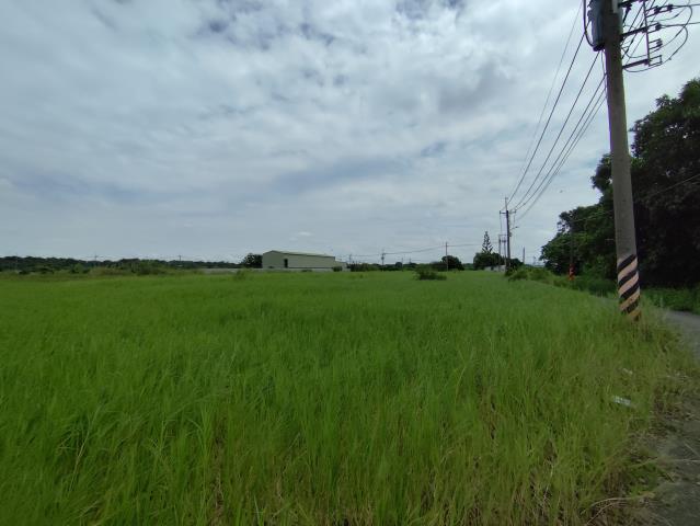 台南仁德農地-1