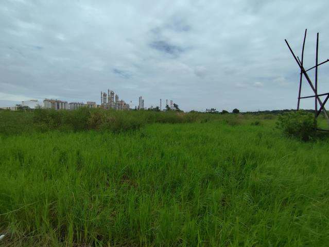 台南仁德農地-2