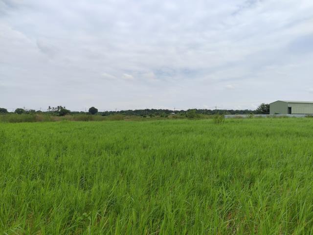 台南仁德農地-3