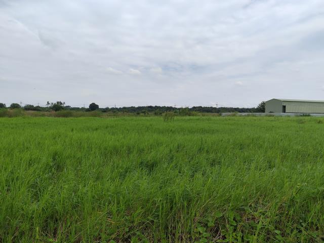 台南仁德農地-4