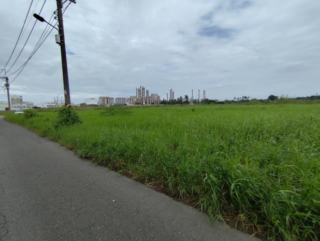 台南仁德農地-7