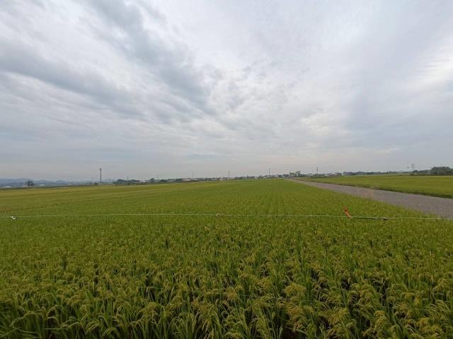 東山農地-1