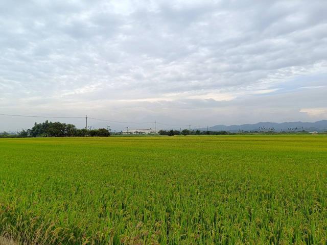 東山農地-3