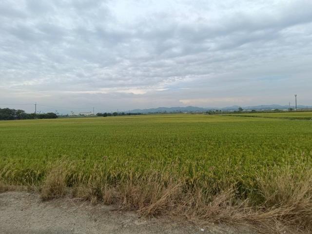 東山農地-4