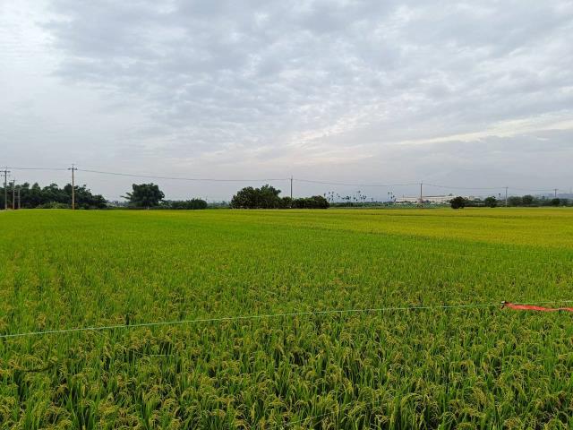 東山農地-7