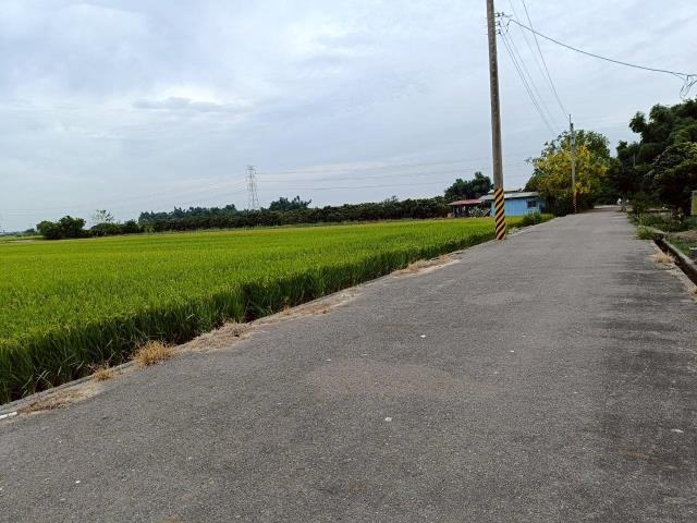 東山農地-13