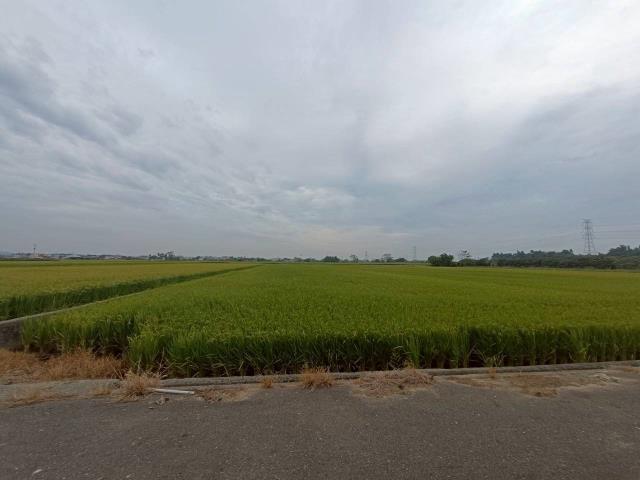 東山農地-1