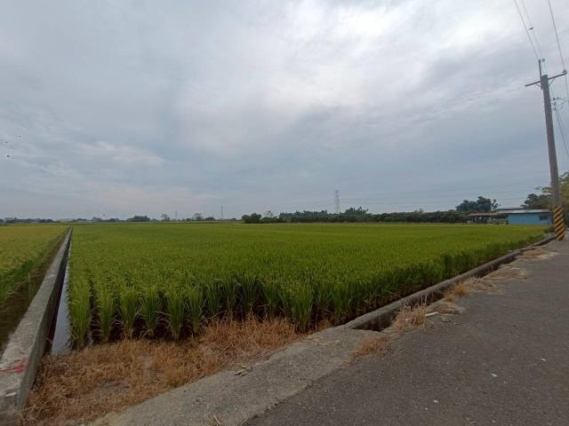 東山農地-2